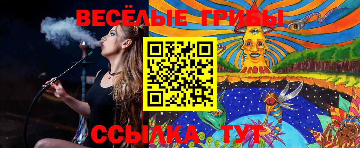 Галлюциногенные грибы ЛСД  Псилоцибиновые грибы мицелий  Вход с VPN  закладки  Моздок 